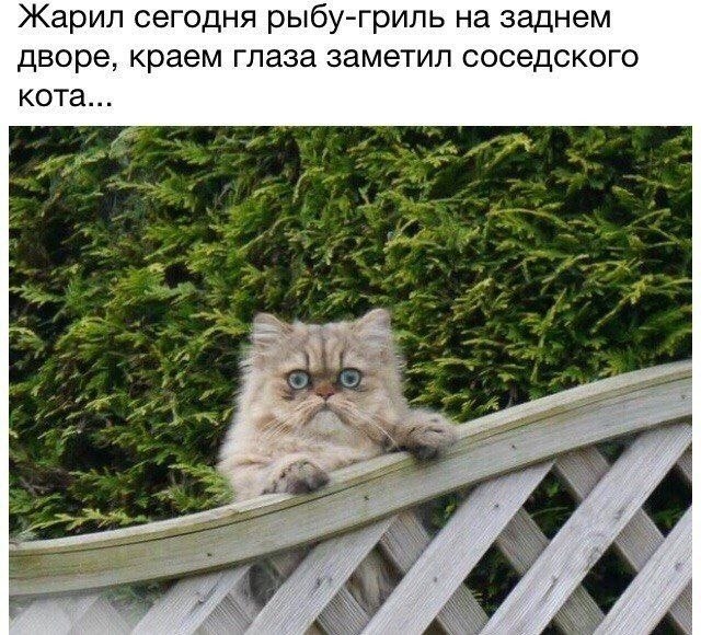  - 6  2019  18:59