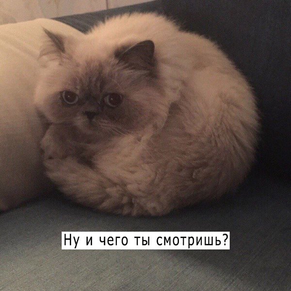 ))))))))))