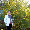 ���� ���������, ����, 72 ���� - ��������� 7 ������ 2019 � ������ ���� ����������