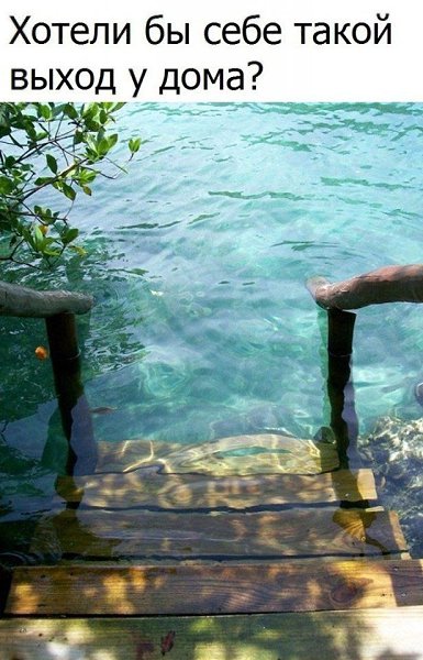 ������� - 24 ������ 2020 � 20:51