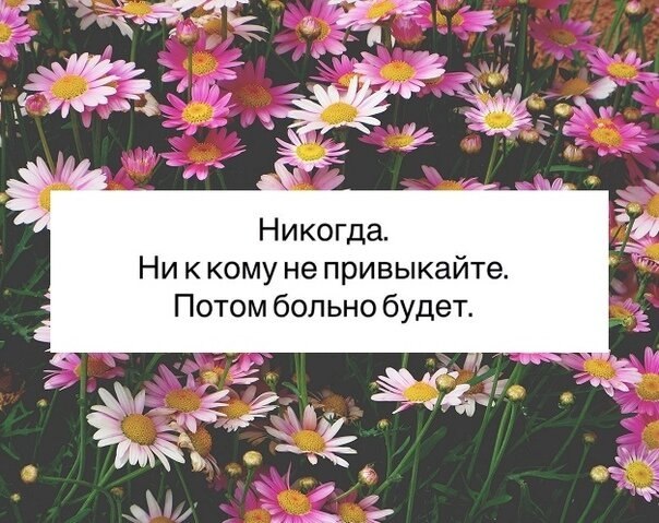    - 16  2020  19:09