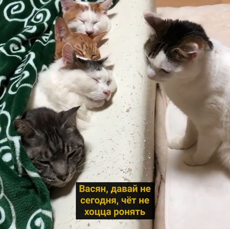      - 3