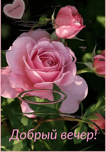   ,    . - 11  2020  19:47 - 2