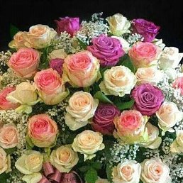 ���� Nadiy, �������� - ��������� 17 ������ 2020