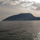 ,, ,-,08.03.20.16.50.    2020