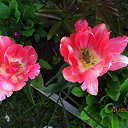 ���� ��������, Kouvola, 78 ��� - ��������� 2 ���� 2020 � ������ ������