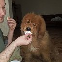 ���� �����, ��������� - ��������� 22 ������� 2020 � ������ ���� ����������