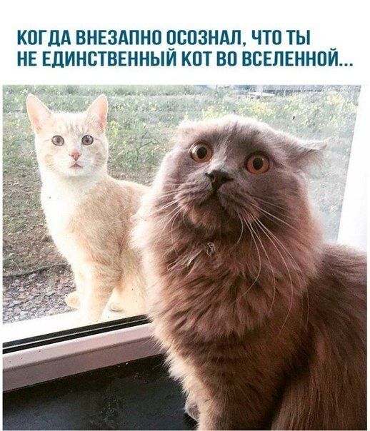    - 23  2020  18:30