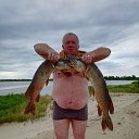 ���� �������, ������, 56 ��� - ��������� 13 ���� 2020 � ������ ���� ����������