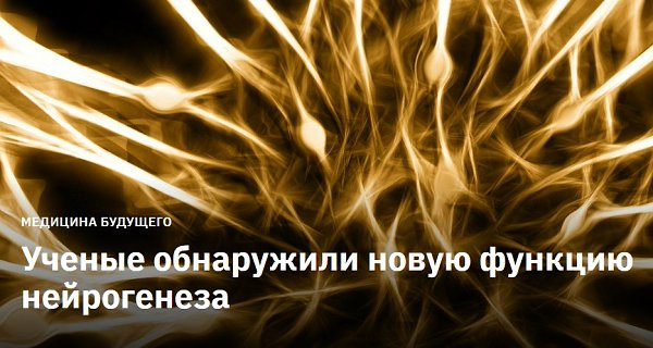 Способность создавать новые нейроны обеспечивает защиту чувствительных областей мозга, показали ...