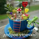���� �������, �������, 62 ���� - ��������� 2 ������� 2020 � ������ ���� ����������