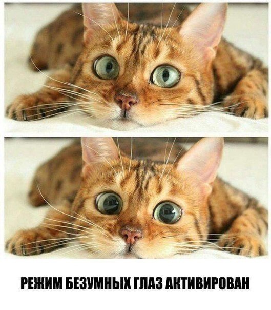    - 24  2020  19:09