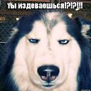 ���� �����, �����-���������, 46 ��� - ��������� 6 ���� 2020 � ������ ������� ������