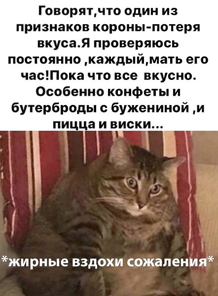 ))))