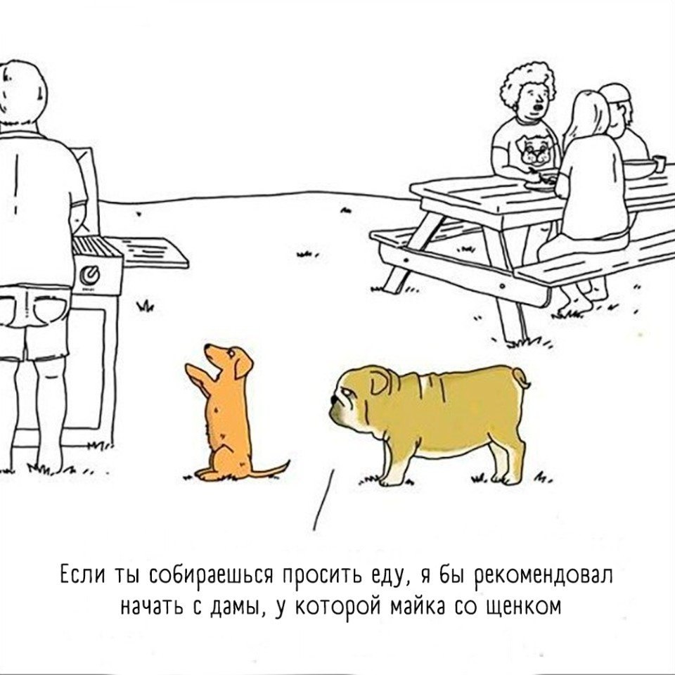   ,    ..     - 2