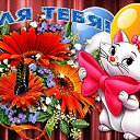 ���� ������, ���������, 58 ��� - ��������� 31 ����� 2020 � ������ ���� ����������