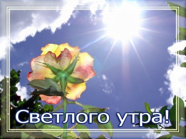   ,    . - 19  2020  21:54 - 6