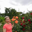 ���� �����, �����������, 51 ��� - ��������� 15 ���� 2020 � ������ ���� ����������