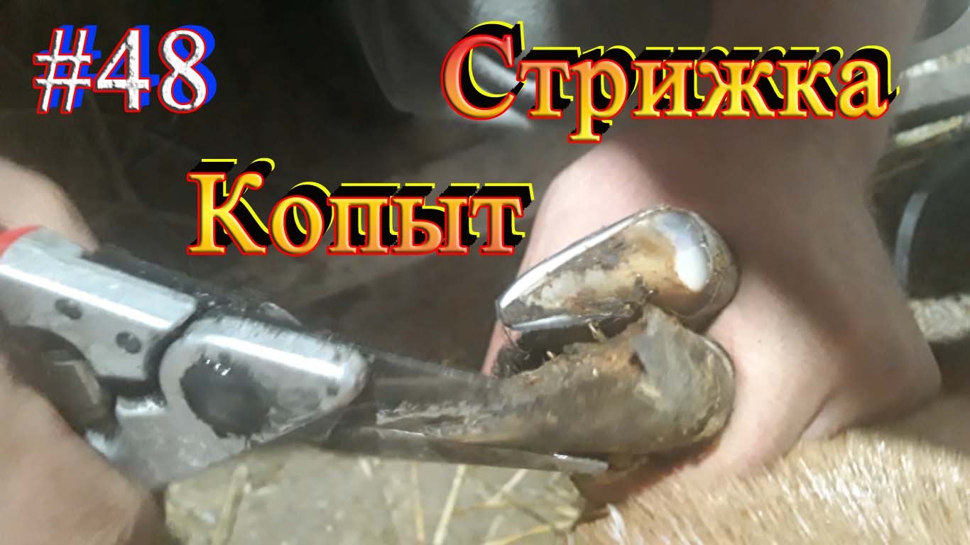 https://fotostrana.ru/away?to=/sl/E375