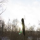 ���� ������, ������ - ��������� 5 ��� 2020 � ������ ���� ����������