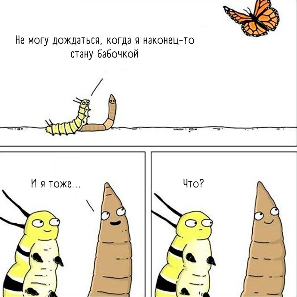  ,    ..     - 5