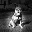 ������������ �����- ���� ������ ��� ����� �� ������� ���� ����������