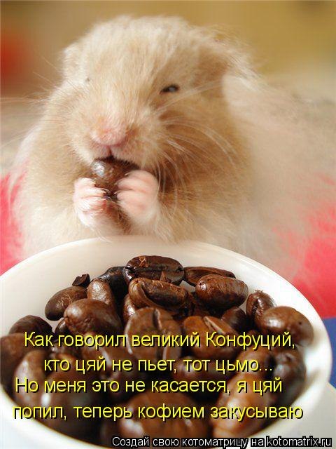 Возвращаюсь домой из командировки - сразу на кухню. Никого. Потом в спальню - никого. Под кровать - ...