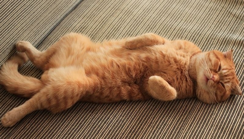 c      x,  p    ... - 5