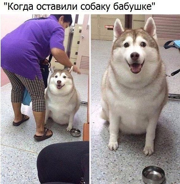 ������� - 5 ������ 2020 � 19:13