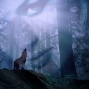���� ������, ��������, 49 ��� - ��������� 16 ������ 2020 � ������ ���� ����������