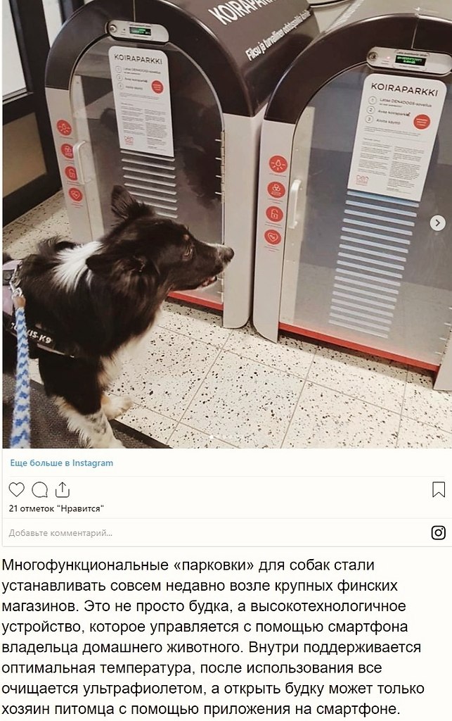 Интересные факты о Финляндии - стране, претендующей на звание самой комфортной для жизни - 2