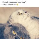 ���� �����, ������������ - ��������� 19 ����� 2020 � ������ ������ ��������