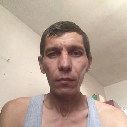 ����, ������, 46 ���