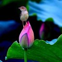���� ��������, ������ - ��������� 3 ������� 2020 � ������ ���� ����������