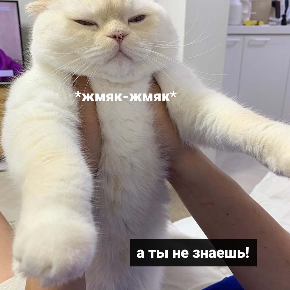  -        - 4