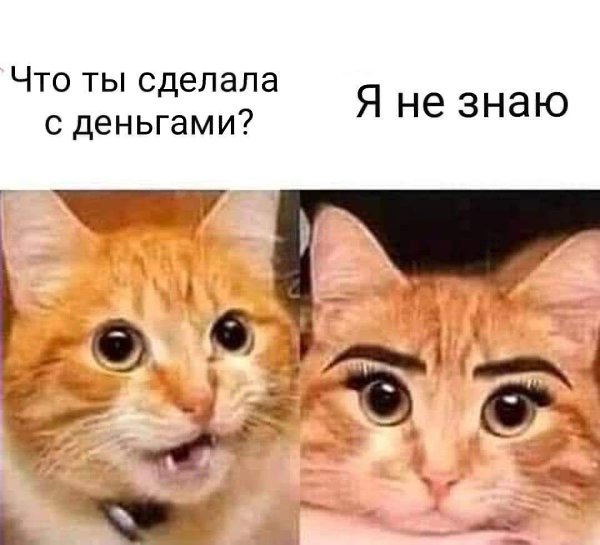  - 15  2020  18:06