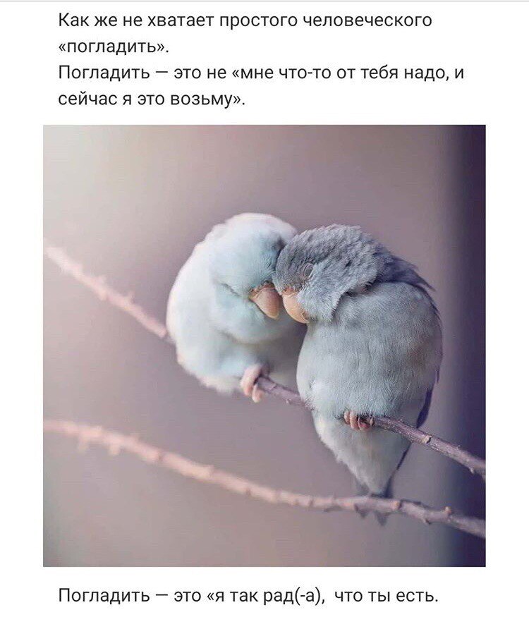 ***Victoria Viktorovna*** - 16  2020  18:43