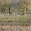 ���� ����, ��������, 76 ��� - ��������� 19 ������ 2020 � ������ ���� ����������