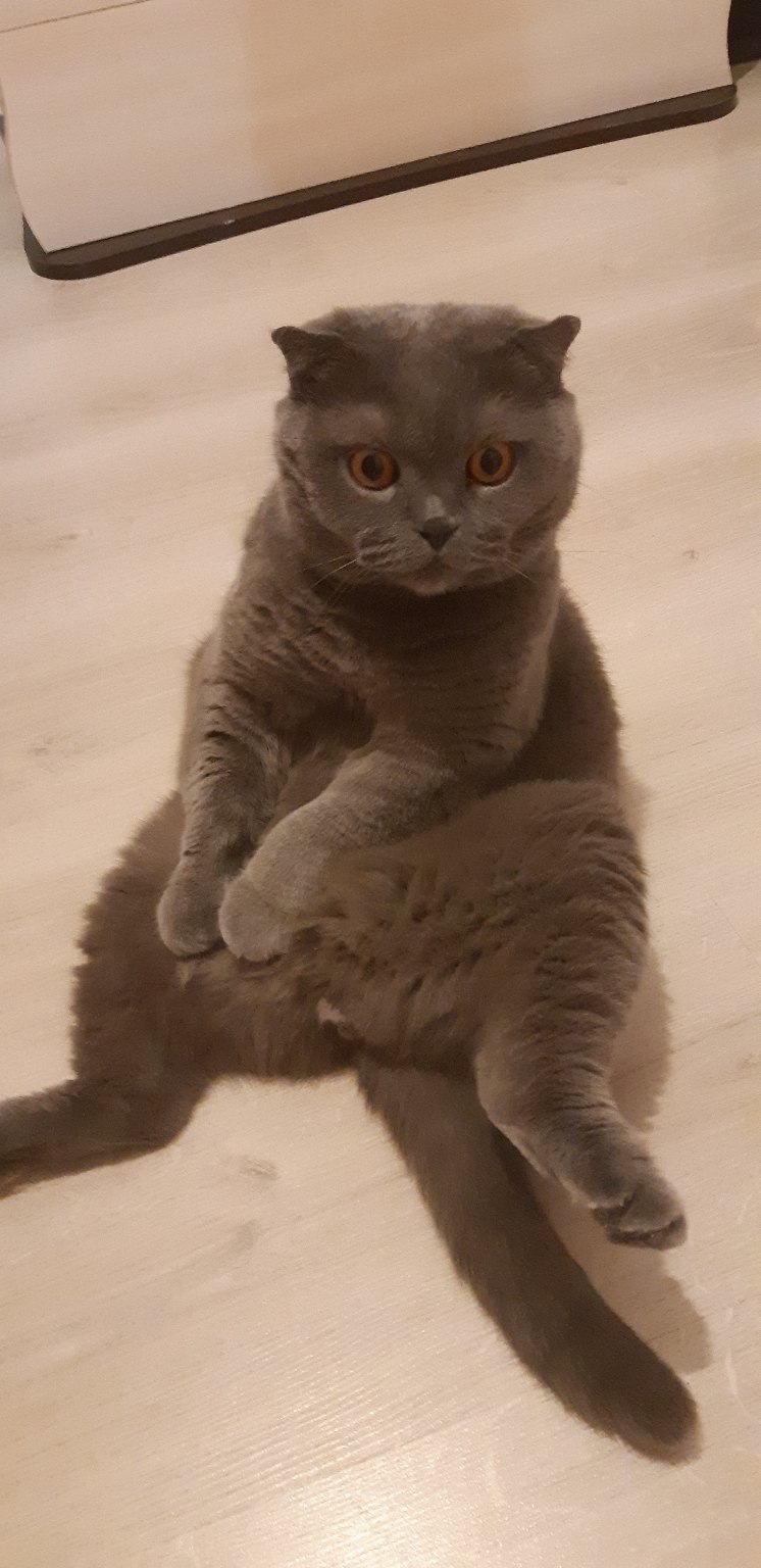     ,     - 3