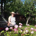  Lera,  -  28  2020    