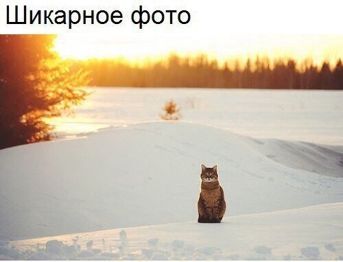 ��� �������� �������� - 9 ���� 2020 � 19:08