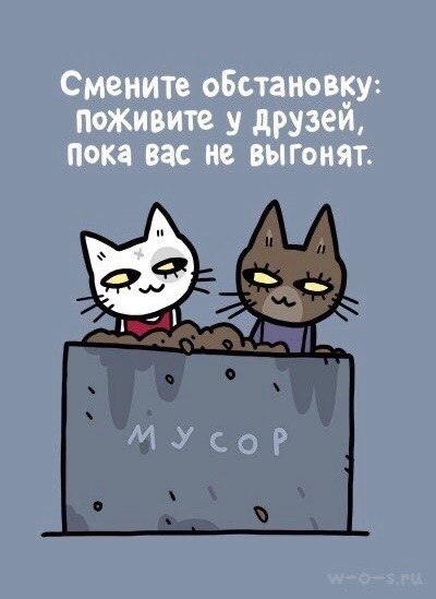   ,     :
