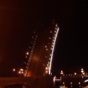 ���� ����, �����-���������, 41 ��� - ��������� 8 ������ 2020 � ������ ���� ����������