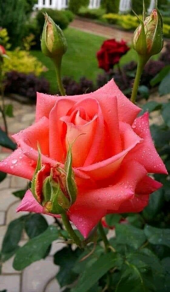   ,    . - 29  2020  22:45 - 4