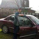 ���� ���������, ������ - ��������� 11 ������ 2020 � ������ ���� ����������