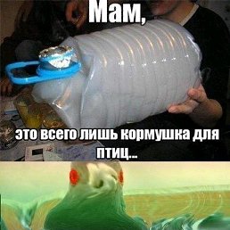 ���� �����, �����������, 29 ��� - ��������� 19 ������� 2020