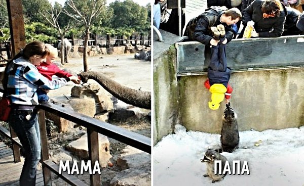 Друзья! По-моему, очень символично, что сегодня, 1 июня, отмечается День защиты детей и Всемирный ... - 3