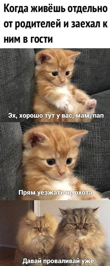  ,      ?