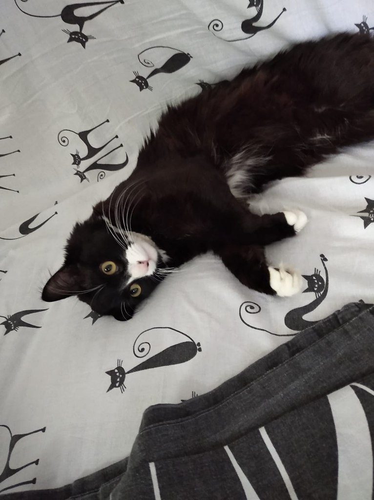   =)