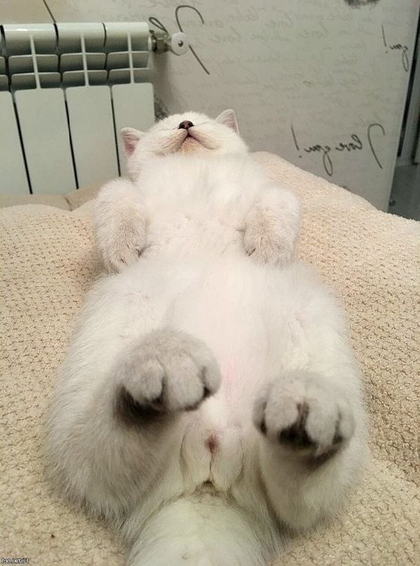 c      x,  p    ... - 4